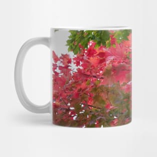 Red green autumn maple leaves Mug